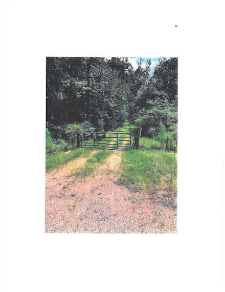 13450 E 442 Hwy, Tickfaw, LA 70466