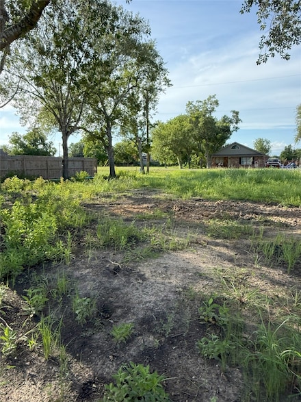 410 Texas Ave, Rosharon, TX 77583