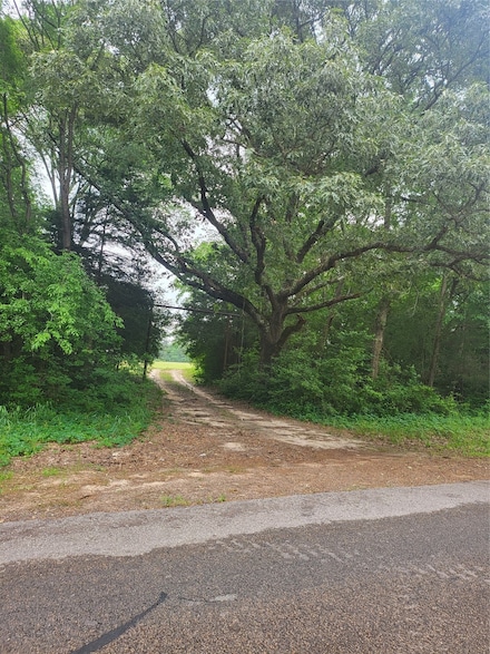 FM 227W TBD and Hayesspring, Grapeland, TX 75844