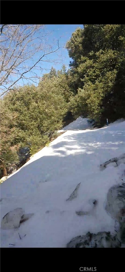 0 Saxon Dr Unit SW25234319, Crestline, CA 92325