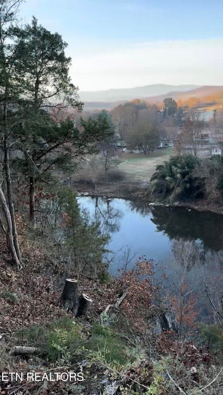 582 Cindy jo Rd, Newport, TN 37821