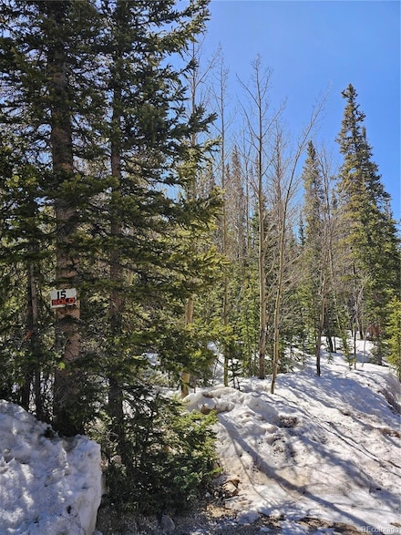 262 Gold Trail, Fairplay, CO 80440