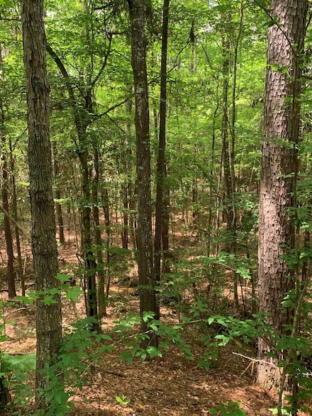 . Rd, McCall Creek, MS 39647