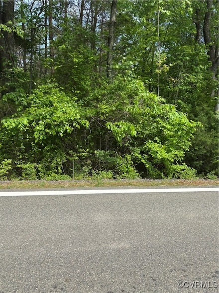 21.9 Acres Old Buckingham Rd, Powhatan, VA 23139