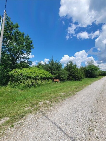 81 Newberry Dr, Linn Valley, KS 66040