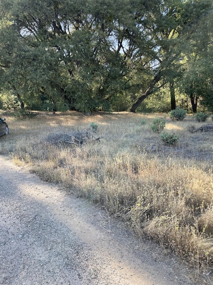 0 Canterbury Unit 224006093, Pioneer, CA 95666