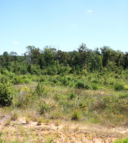 0 Lot 18 Lebleu Settlement Unit 29-2029, Leesville, LA 71446