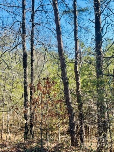 0 Ridge Dr Unit CAR3835553, Connelly Springs, NC 28612