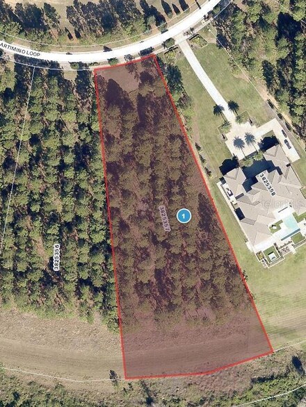 16830 Artimino Loop, Montverde, FL 34756