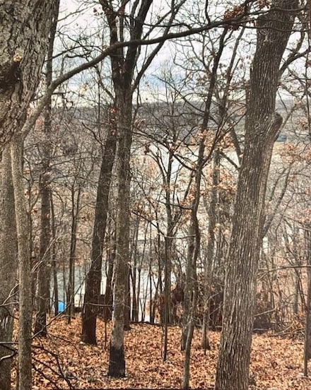 0 Lot 36 Blk 2 Pheasant Cir, Afton, OK 74331