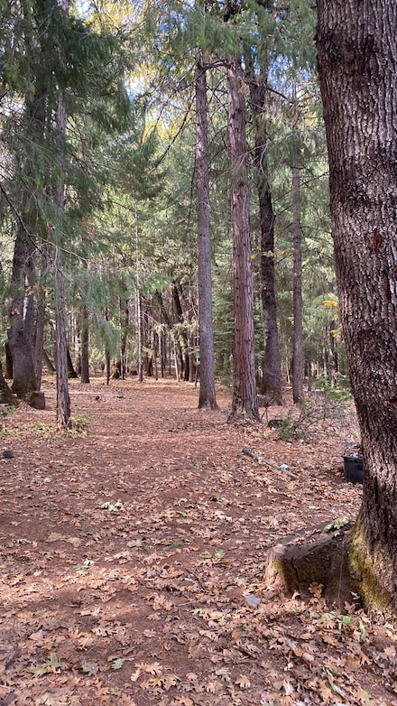 16425 Jones Ridge Rd, Grass Valley, CA 95945