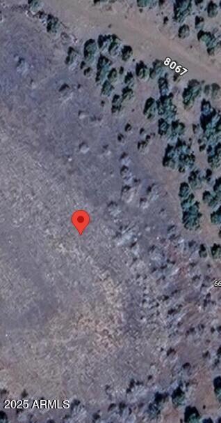 64 County Rd 8067 -- Unit 1365, Concho, AZ 85924