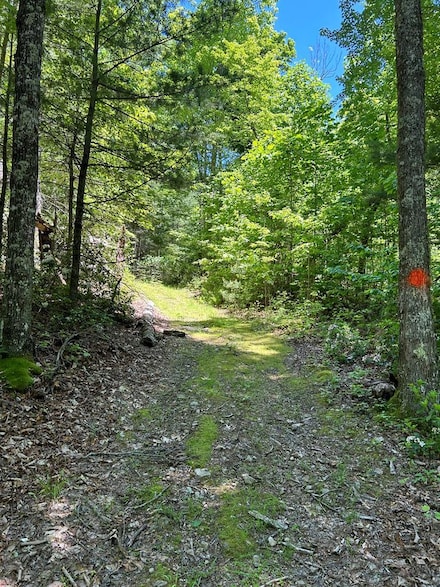 TBD Widener Valley Rd, Glade Spring, VA 24340
