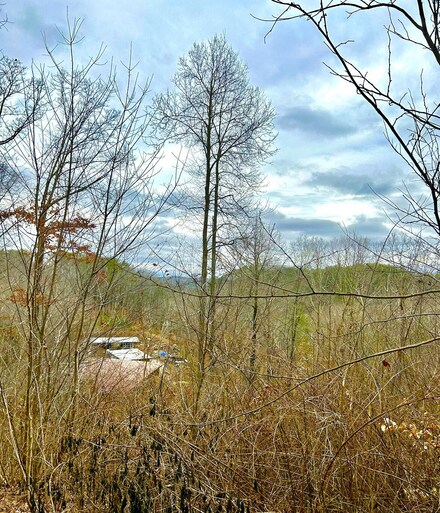 0 N Cedar Ln Unit RTC2745441, Flintstone, GA 30725