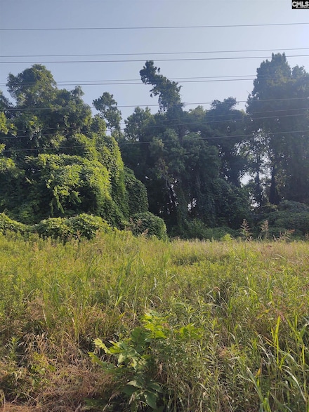 Land For Sale Blair Sc