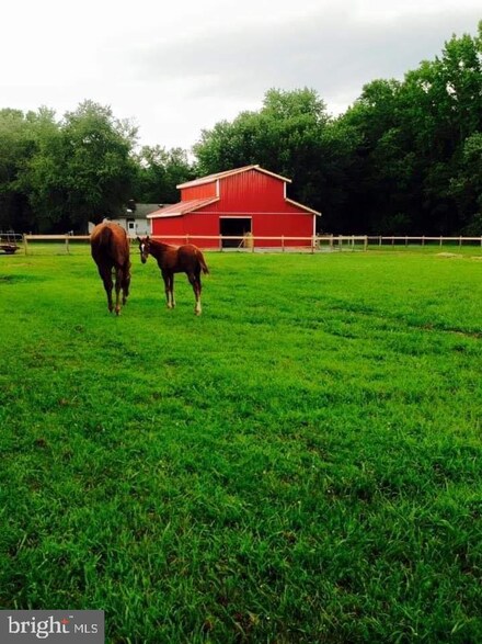 25415 Trunk Line Rd, Marydel, MD 21649