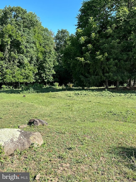 Lot 113 Stonehouse Mountain Rd, Rixeyville, VA 22701