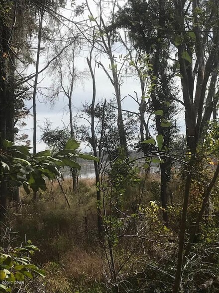 LOT 10 Hicks Lake Trail, Vernon, FL 32462