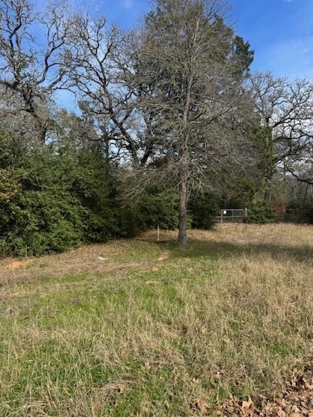 306 Travis Rd, Paige, TX 78659