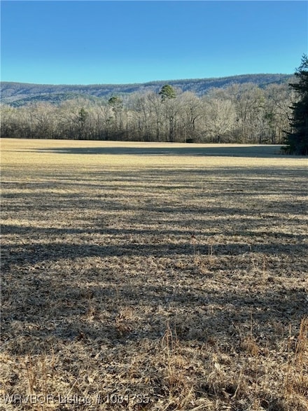 TBD Lot 3 Rocky Rd, Hodgen, OK 74939