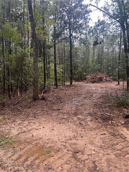 0 S Bennett Rd, Independence, LA 70443