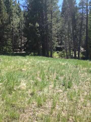 0 Steelhead Rd Unit 5 & 14 105704, June Lake, CA 93529