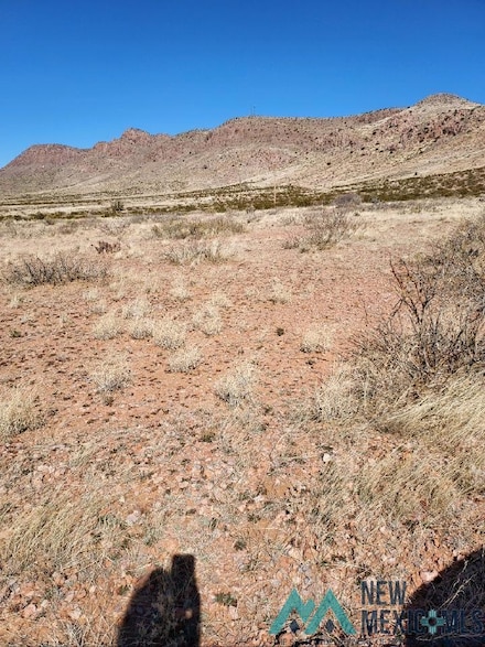 XXX Pinto Rd SE, Deming, NM 88030