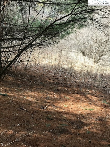 TBD Deer Path Rd, Crumpler, NC 28617
