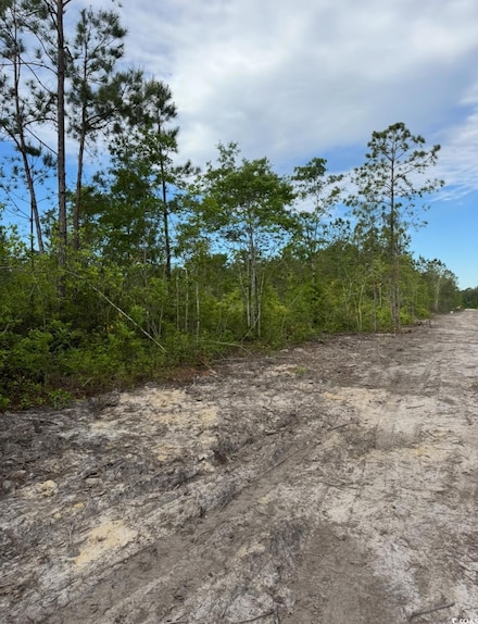 TBD Fowler School Rd, Loris, SC 29569