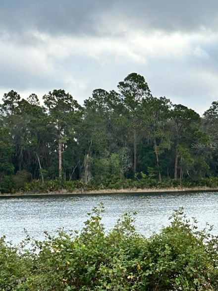 TBD Lot 49 Malauka Radial, Ocklawaha, FL 32179