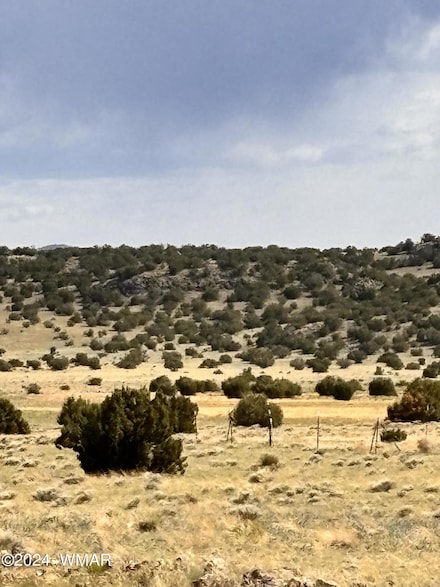 58 Thorn Ln, Concho, AZ 85924