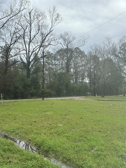 18152 Blackberry Rd, Conroe, TX 77306