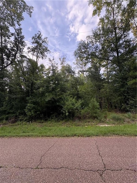 0 Traino Landing Rd Unit 2509517, Ponchatoula, LA 70454