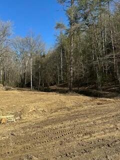 63.74 Chestnut Valley Rd, Vonore, TN 37885