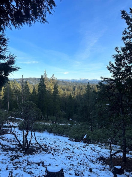 3333 Menominee Ct, Arnold, CA 95223