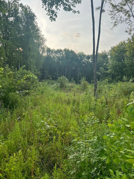 51760 S Foster Rd, New Baltimore, MI 48047