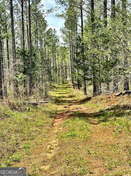 0 Co Rd 12 Unit 10530310, Talbotton, GA 31827