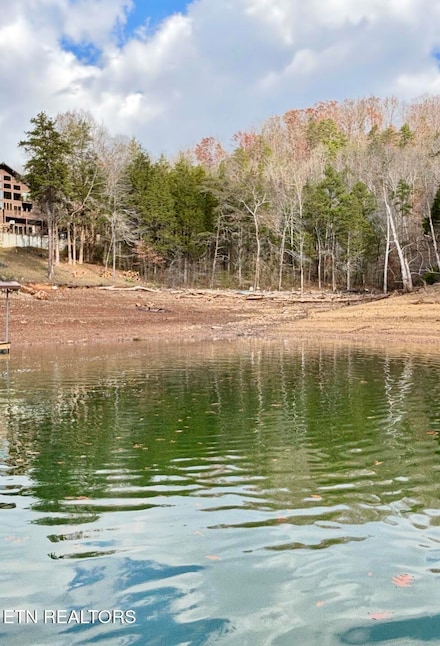 0 Bridle Way Unit 1323079, Speedwell, TN 37870