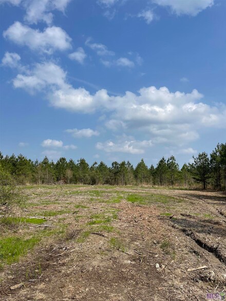 Tract 8 Lorin Wall Rd, Holden, LA 70744