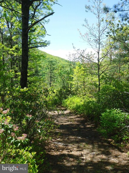 3558 Lucas Hollow Rd, Stanley, VA 22851