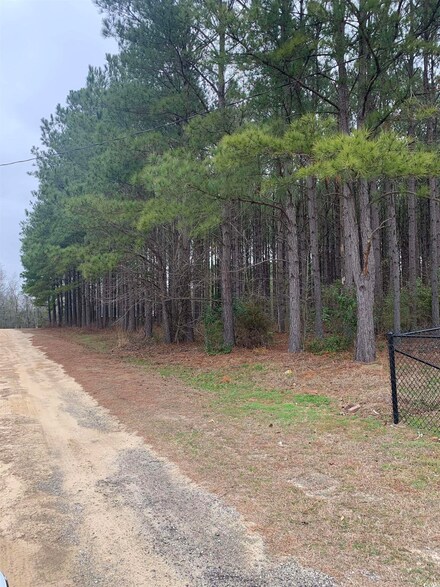 00 Brooks Ct, Mullins, SC 29574