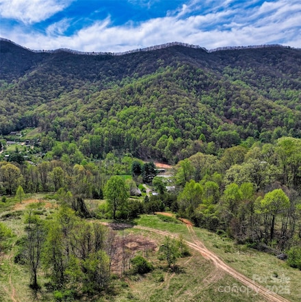 1567 Newfound Rd, Leicester, NC 28748