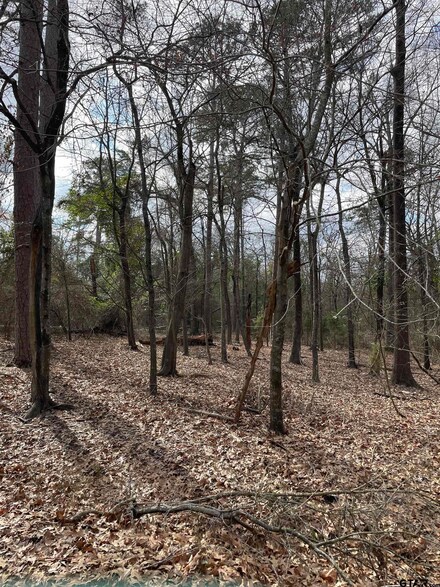 TBD County Road 2432, Pittsburg, TX 75686