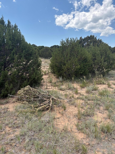 0 Unit 1086302, Tajique, NM 87016