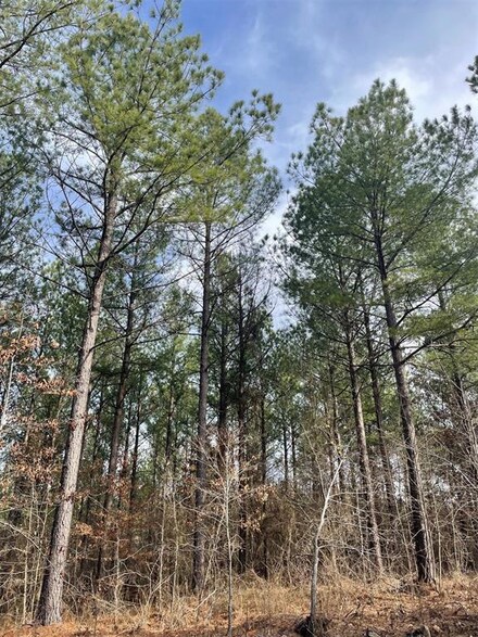 754 Timber Creek Trails South Xl, Broken Bow, OK 74728