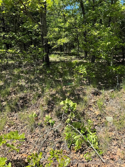 27 S 4532 Dr, Vian, OK 74962