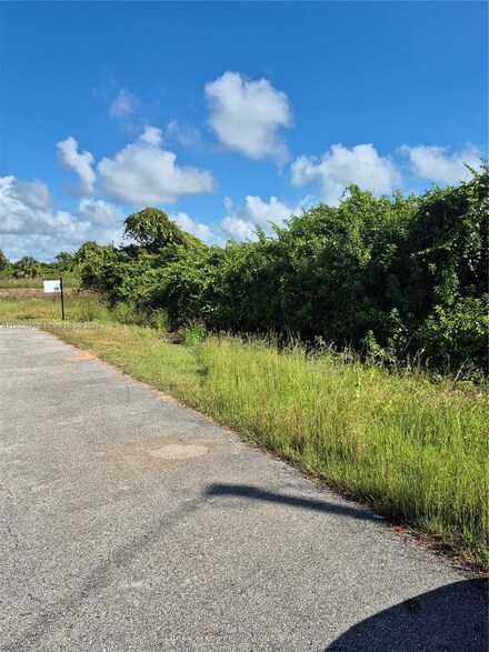 1505 Sally Ave S, Lehigh Acres, FL 33976