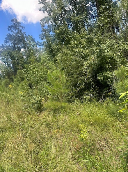 Lot 13 Dale Dr, Jonesboro, LA 71251