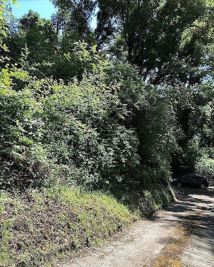 0 Farr Ave Unit ML82027412, Aptos, CA 95003