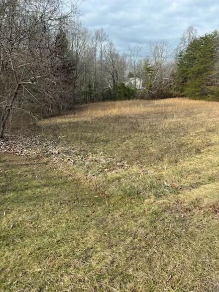 650 E Appletree Rd, Stearns, KY 42647